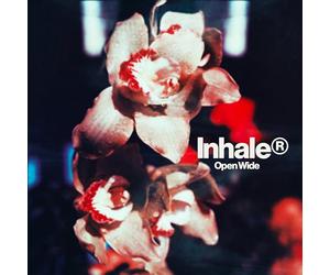 open wide - ltd clear USA