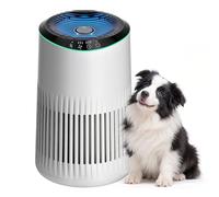 Operan Purificatore d'aria per chi soffre di allergie, purificatore d'aria per fumo, animali domestici, forfora, odori con spugna profumata, piccolo purificatore d'aria con modalità sonno per camera