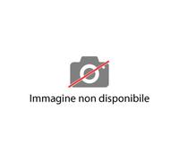 Operatore Motore Oleo' Reverse Ballan Sa 230V 951701898 Oleodinamico Idraulico Porta Basculante