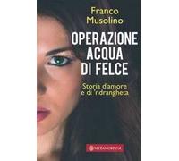 Operazione acqua di felce. Storia d'amore e di 'ndrangheta