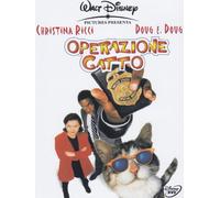Operazione gatto