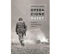Operazione Husky. La guerra nell'entroterra ennese