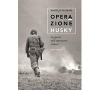 Operazione Husky. La guerra nell'entroterra ennese