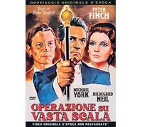 Operazione su vasta scala