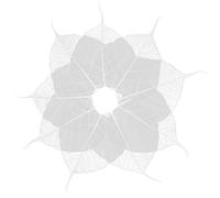 Operitacx 20 Pezzi foglie artigianali arredamento bianco foglie artificiali scheletro naturali esemplare di d'albero naturale artigianato fiori secchi Fogliame campione Bambù