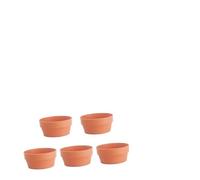 Operitacx 5pezzi Vasi in Plastica Imitazione Argilla Per Piante Succulente Vasi Rotondi Da Giardino Da Contenitori Per Fiori Per Interni Ed Esterni Accessori Per Giardinaggio in Arancione