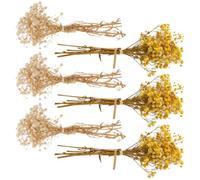 Operitacx 6 Pezzi Mazzetto di Fiori Secchi Babys Breath per Matrimonio e | Decorazione Chic e Vivace, senza Acqua Né Manutenzione, per Ghirlande, Bouquet e Tavola
