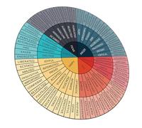 Operitacx Adesivo Ruota Delle Grafico Dei Sentimenti Consulenza Per L'arredamento Dell'ufficio Poster Della Ruota Dei Colori Adesivi Per Quaderni Adesivi Emozionali Emozione Pvc