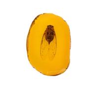 Operitacx Ciondolo Ambra Artificiale Insetti, 1 Pezzo, Ambroid Giallo | Decorazione dal Profilo Unico, Stile Delicato ed Elegante, Regalo per Amici e Famiglia, per Abiti