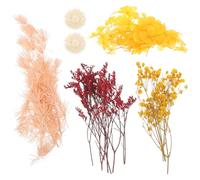 Operitacx Kit Materiali di Fiori Secchi Naturali per Cornici e Scrapbooking | Decorazioni Vegetali Eleganti, Effetto Testurizzato Lucente, Non Sbiadiscono Facilmente, Kit Portatile per Artisti