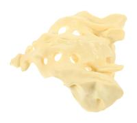 Operitacx Modello Superficie Liscia del Sacro Bianco Anatomico in Pvc a Grandezza Naturale per Studio Medico ed Educazione Pratica