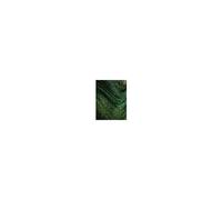OPI Wicked Nail Lacquer smalto per unghie colore Ozitively Elphaba 15 ml