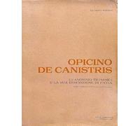 Opicino de Canistris L''Anonimo Ticinese' e la sua descrizione di Pavia (Cod. Vaticano Palatino Latino 1993)
