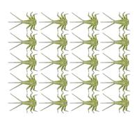 Opilroyn Pesca a mosca per trote, esche morbide - 20 legami realistici, componenti del corpo della ninfa, assortimento di pesca a mosca, kit di pesca per salmone
