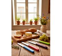 Opinel Set 4 Coltelli Spelucchini N. 112 Manico Legno Colori acidi