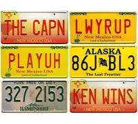 OPO 10 - Lotto di 6 Replica targhe delle vetture della Serie TV Breaking Bad - PF19