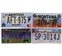 OPO 10 - Set di 4 targhe in Metallo per Auto USA - repliche di Vere targhe Americane Montana