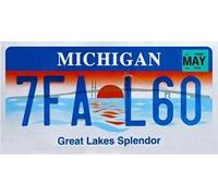 OPO 10 - Targa Auto USA - 30x15 cm Replica in Metallo: Michigan (C26)