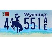 OPO 10 - Targa Auto USA - 30x15 cm Replica in Metallo: Wyoming (C50)