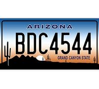 OPO 10 Targa Auto USA - Replica in Metallo 30x15 cm: Arizona (C03)