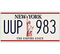 OPO 10 Targa Auto USA - Replica in Metallo 30x15 cm: New York (C36)