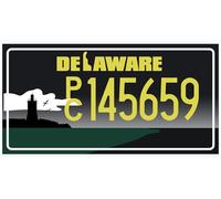 OPO 10 - Targa automobilistica USA - Replica in Metallo 30x15 cm: Delaware (C12)