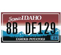 OPO 10 Targa automobilistica USA - Replica in Metallo 30x15 cm: Idaho (C16)