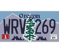 OPO 10 - Targa automobilistica USA - Replica in Metallo 30x15 cm: Oregon (C39)