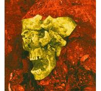 Opodeldox,die - Die Letzte Erste