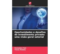 Oportunidades e desafios do investimento privado: uma visão geral setorial