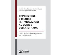 Opposizione e ricorsi per violazioni al codice della strada