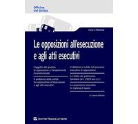 Oppsizioni all'esecuzione e agli atti esecutivi