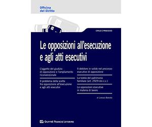 Oppsizioni all'esecuzione e agli atti esecutivi