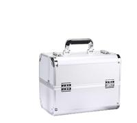 OPPWONG Custodia per Trucco Portatile, Custodia per Cosmetici Multistrato, Ampio Spazio per Riporre Prodotti di Bellezza con Design a Strati, Ideale per Bellezza, Parrucchiere, Nail Art e (SILVER)