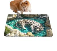 Optical Illusion Rug - Anti-Slip Rubber Foundation Engaging Cool Trap Carpet non slip,3D Rugs - Engaging Illusion Design for Halloween Decorations Indoor Porch Entrance Kitchen Bathroom