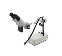 Optika S-50Led microscopio binoculare da dissezione, 20X