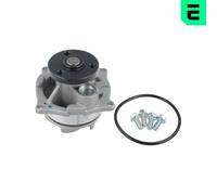 OPTIMAL Pompa Acqua per Ford Fuoco Torneo Dnw Daw Dbw Mondeo II BNP GAL Struct