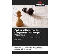 Optimisation tool in companies: Strategic Planning: A behavioural analysis in the city of Conceição da Aparecida, Minas Gerais