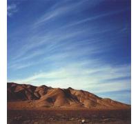 Options - South of Brooklyn