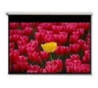 Optoma DE-9120GA MOTORIZZAZIONE CANVAS per montaggio a parete/soffitto, 16: 9, (120) 305 cm