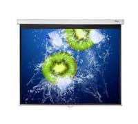 OPTOMA ML DS-3100PMG+ MOLLA HT 203X152 [DS-3100PMG]