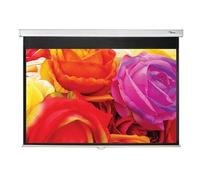 Optoma DS-1095PMG+ schermo per proiettore 2,41 m (95") 16:10
