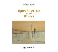 Opus incertum suivi de Brisures