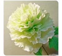 (OPVDJD) peonie rizomi resistenti all'inverno - Illumina l'ambiente/Alto valore ornamentale/Facile da coltivare-4 rizomi-D