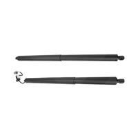 OQRDVVTT Elettrico Portellone Supporto di Sollevamento Elettrico Ammortizzatori A Gas per Portellone Posteriore GB5Z14B351A/GB5Z78406A10A per F&ORD per Explorer 2016-2019 Molla A Gas Elettrica(Pair)