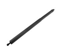 OQRDVVTT Elettrico Portellone Supporto Sollevatore Elettrico Ammortizzatore per Portellone Posteriore Elettronico per F&ORD per S-Max 2015 2016 2017 2018 Molla A Gas Elettrica(Lato Destro)