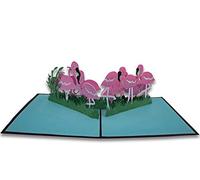 OR3481 Biglietto di Auguri con Origami Surprise, Fenicotteri