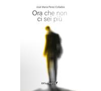 Ora che non ci sei più - 2025 - Edizioni IlViandante (Agorà)