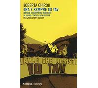 Ora e sempre No Tav. Pratiche e identità del movimento valsusino contro l'alta velocità