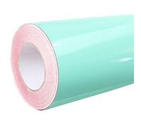 Oracal 621 - Pellicola adesiva - 5m x 63cm - Pellicola - Lamina mobili - Pellicola per plotter - Autoadesivo + GRATIS "Rapido Kanpur" Raschietto - 055 Mint